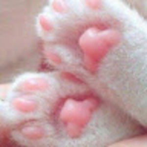 Meet your Posher, Keli